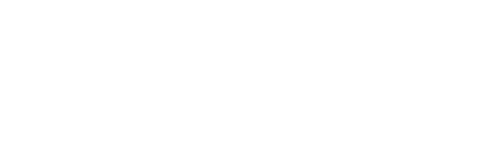 Gecko Seguridad